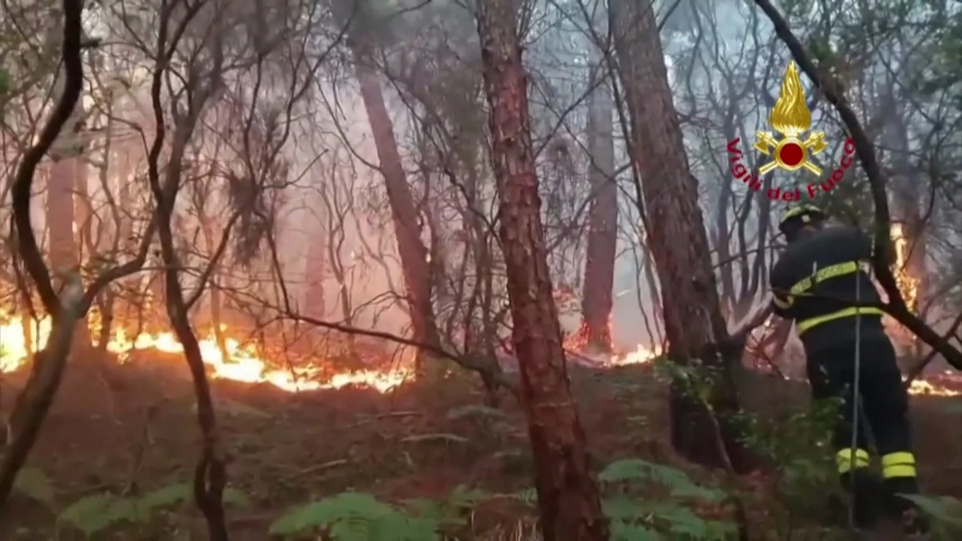 Incendii de vegetație în Toscana: pompierii italieni luptă cu flăcările, mii de persoane evacuate