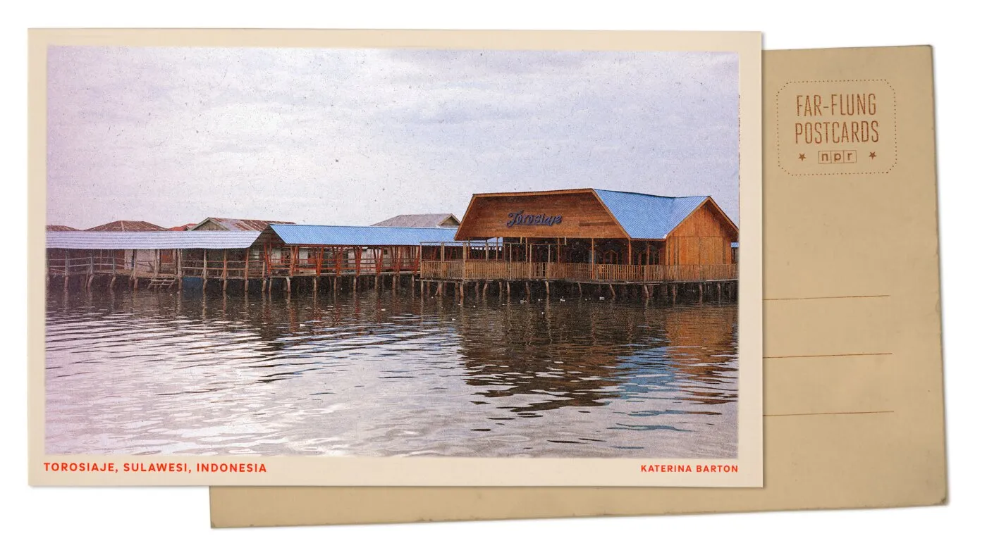 Salutări dintr-un sat de pe mare din Indonezia, unde pescuitul tradițional este sprijinit de mangrove