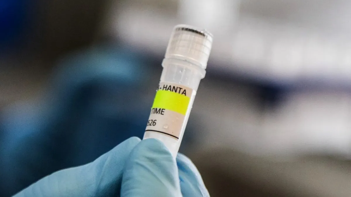 Un nou caz suspect de hantavirus identificat pe o insulă izolată din Atlantic – alertă sanitară în Marea Britanie