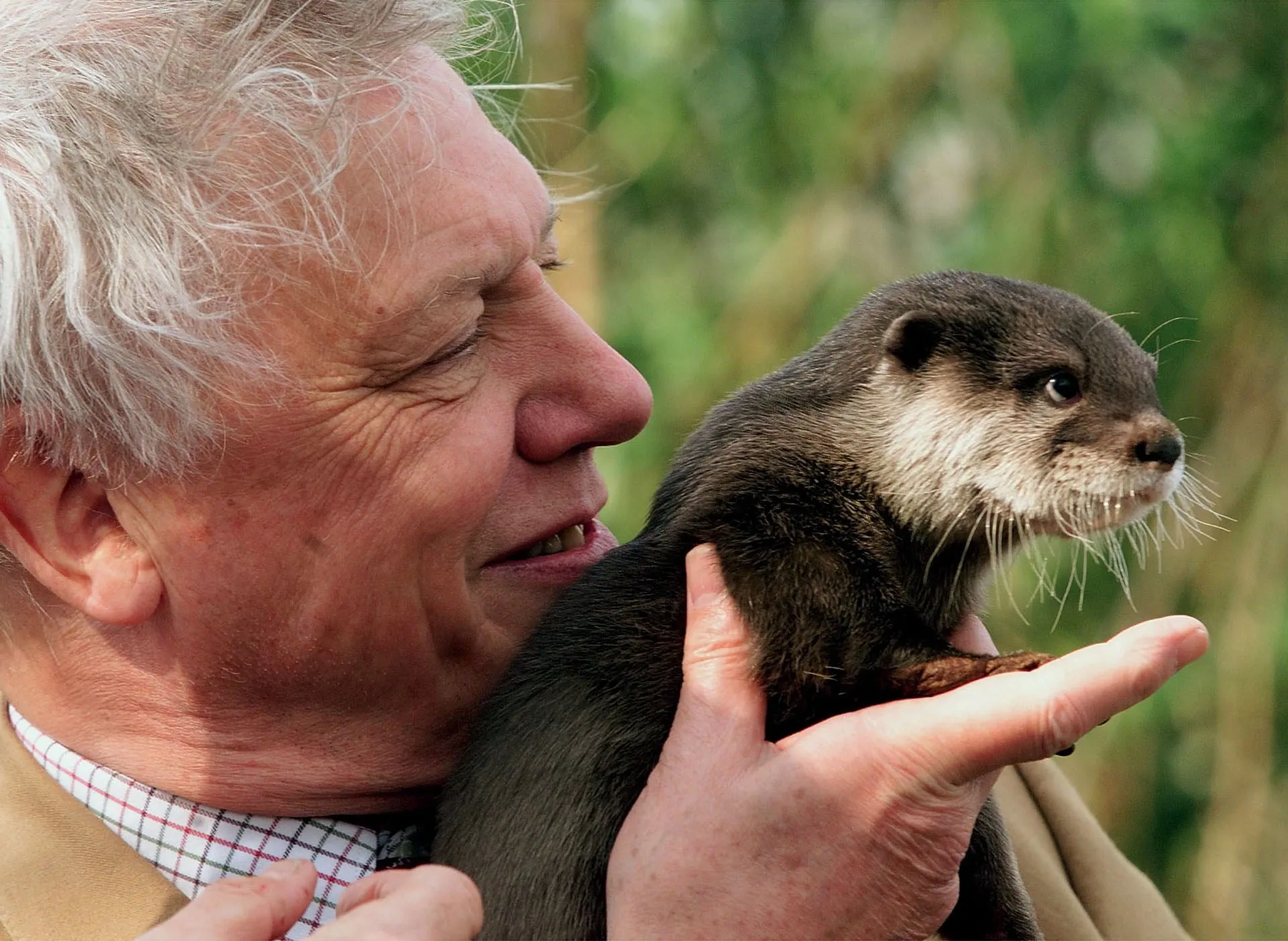 David Attenborough, celebrul naturalist, împlinește 100 de ani: o viață dedicată planetei