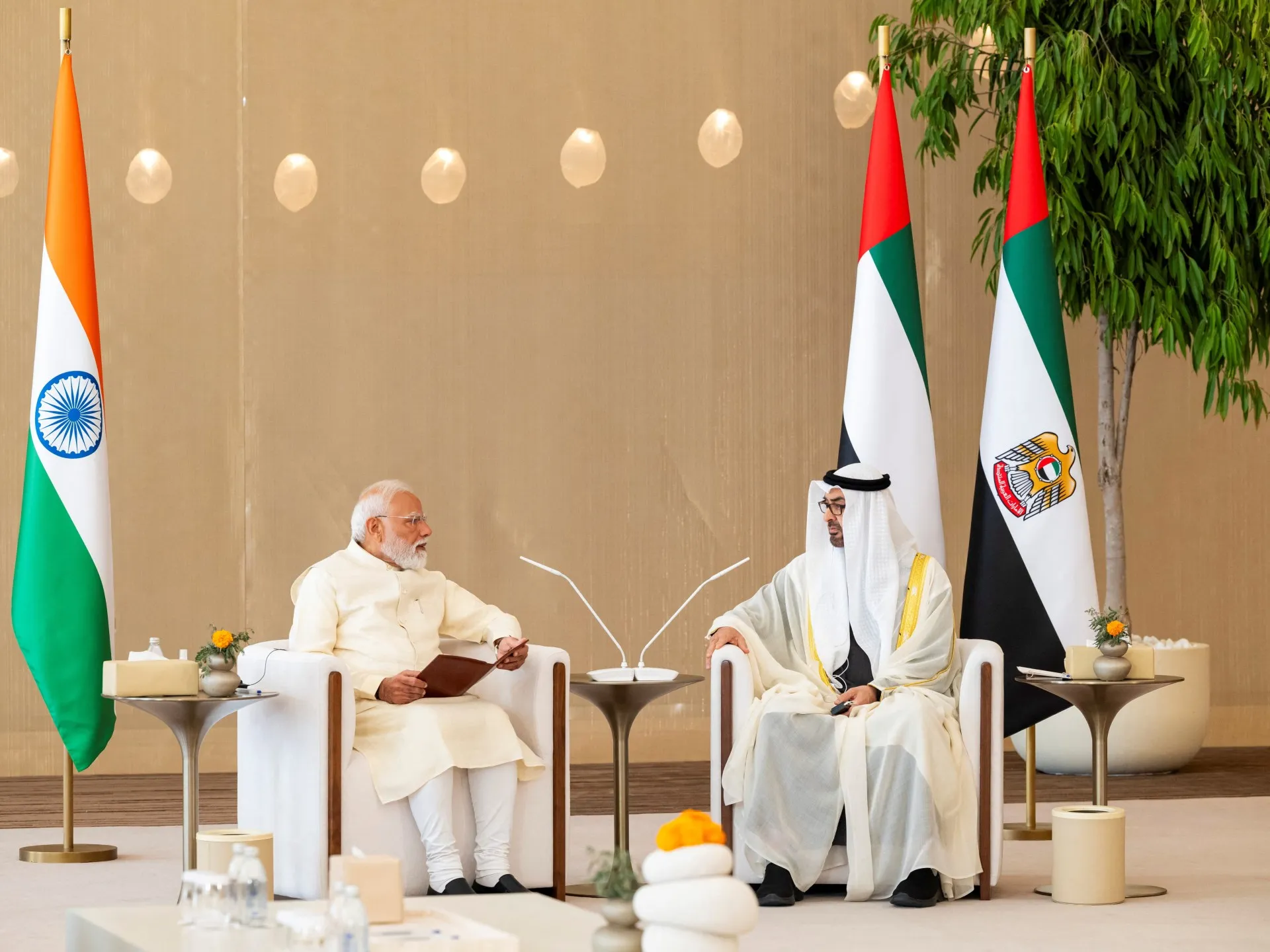 India și Emiratele Arabe Unite semnează pacte de apărare pe fondul tensiunilor cu Iranul