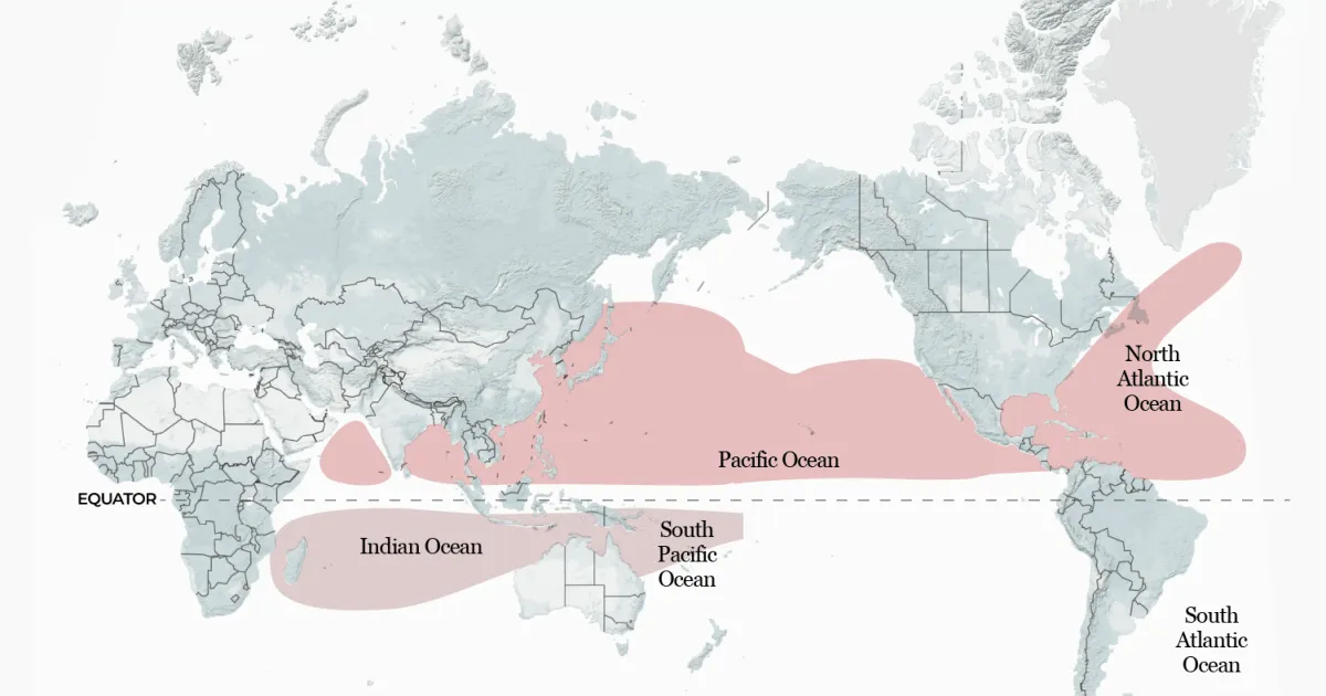 Cum ar putea El Niño să redefinească furtunile tropicale la nivel global în acest an