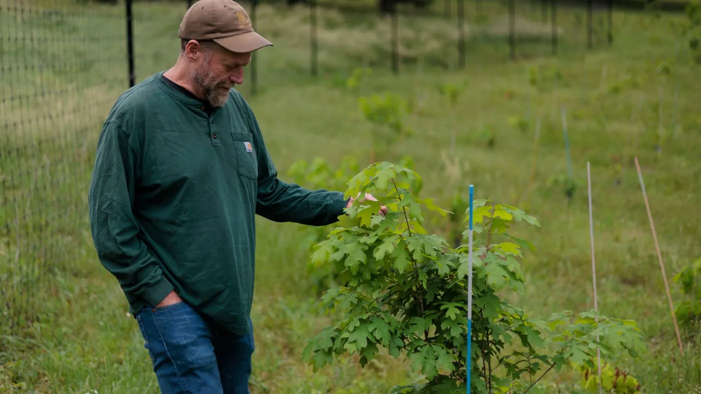 Serviciul Forestier SUA închide birouri pentru a reduce costurile, dar calculele nu se potrivesc