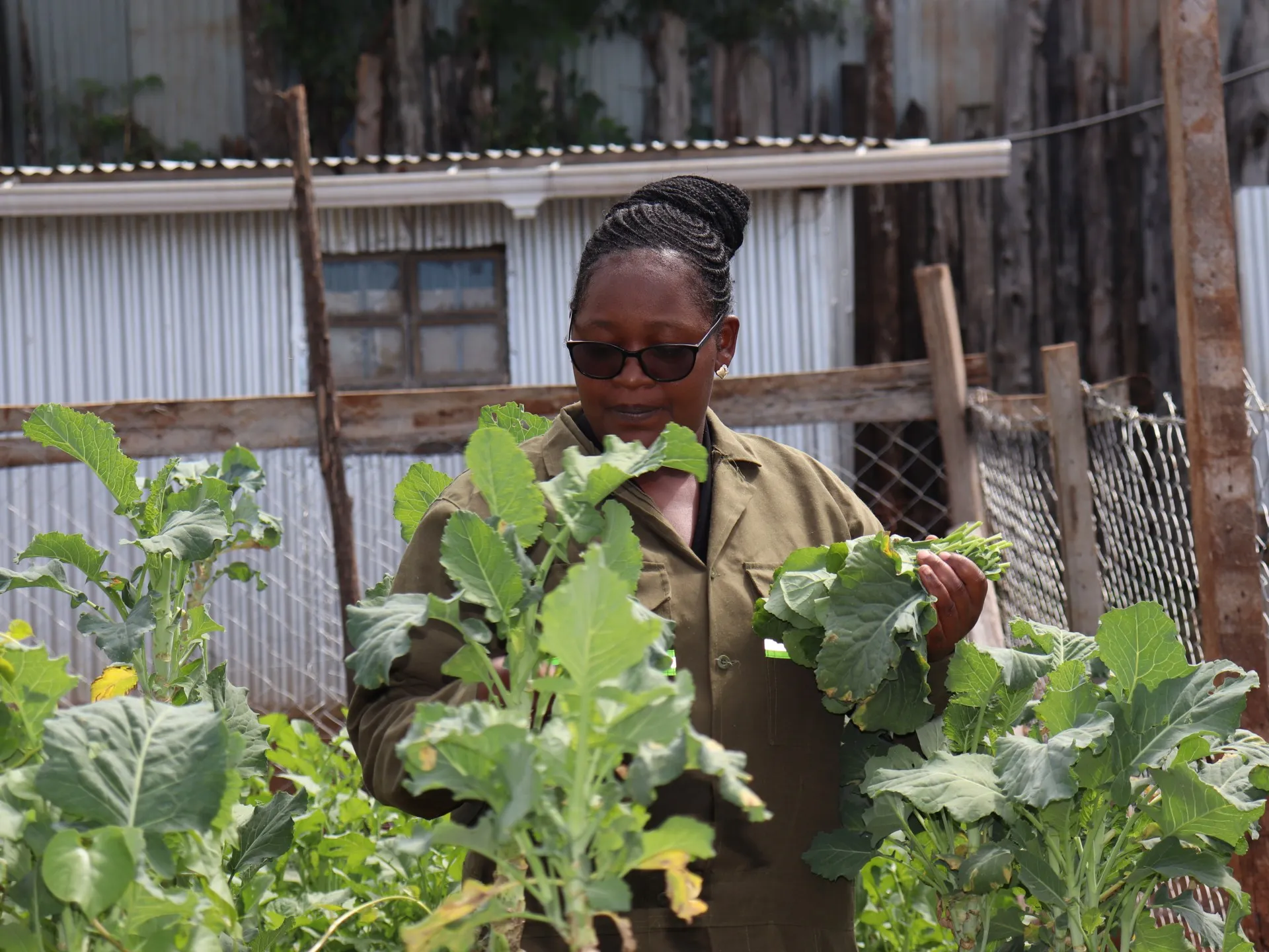 Absolvenții din Kenya se întorc la agricultură cu ajutorul inteligenței artificiale, în lipsa locurilor de muncă tradiționale