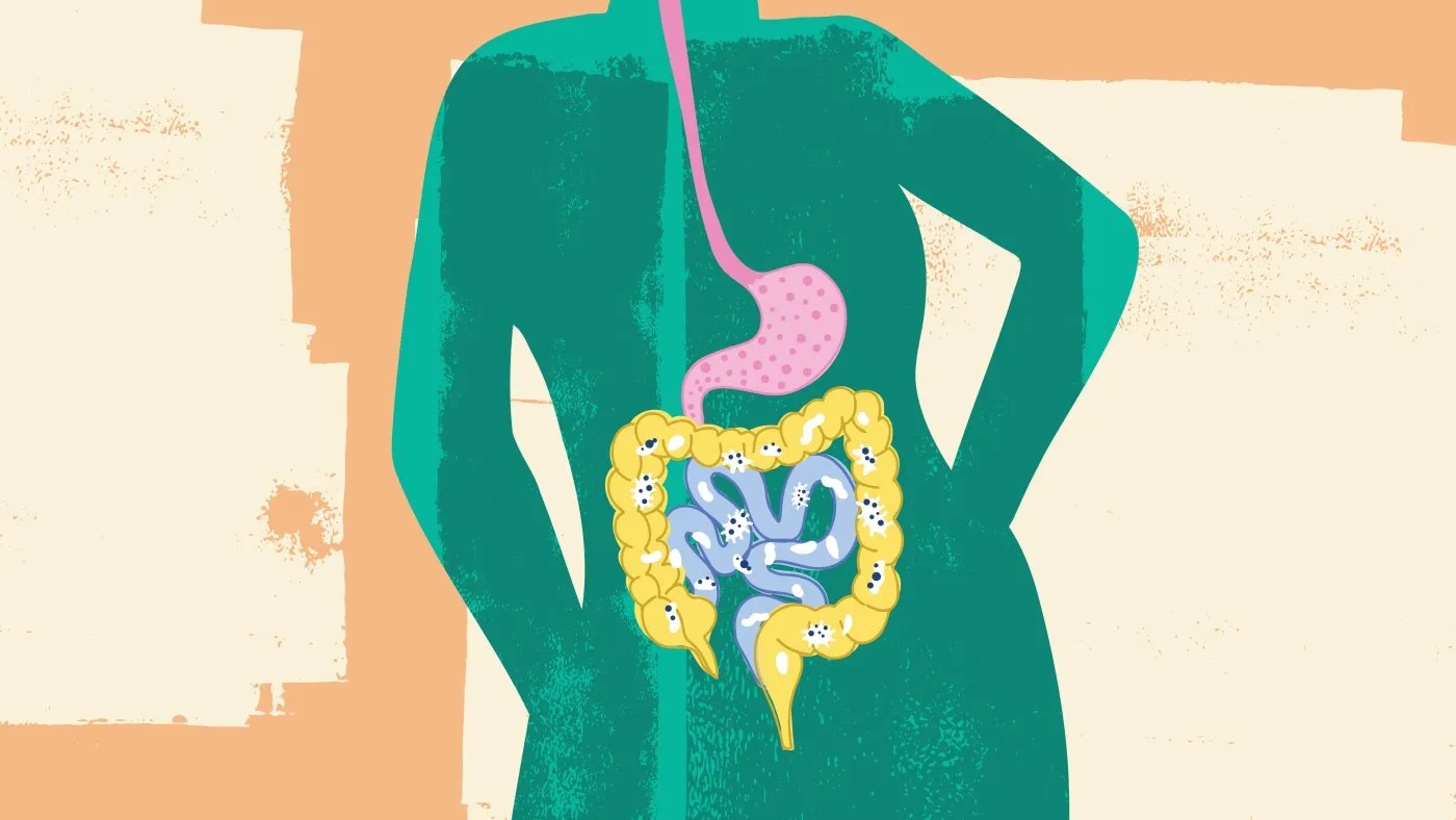 8 lucruri esențiale despre microbiomul intestinal și cum să îl menții sănătos