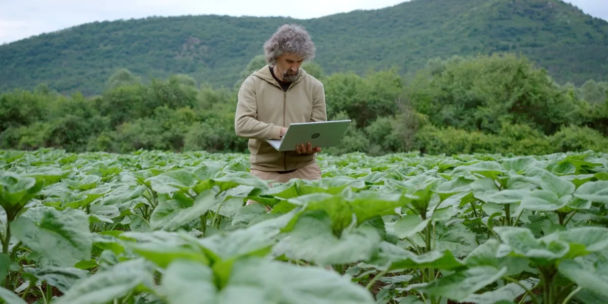Agricultura este pregătită pentru AI, dar datele sale nu sunt